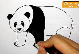 Gambar Sketsa Panda Yang Mudah